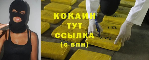 индика Уссурийск