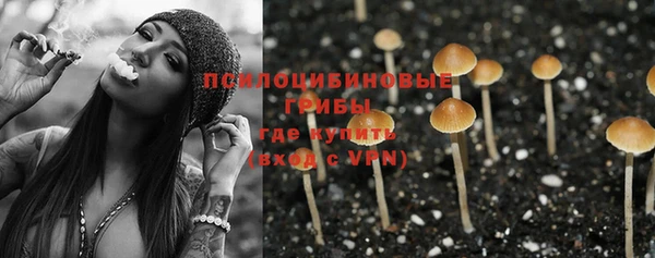 СК Магас