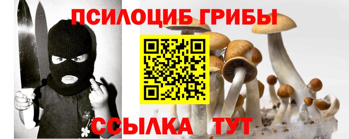 Галлюциногенные грибы прущие грибы Сызрань